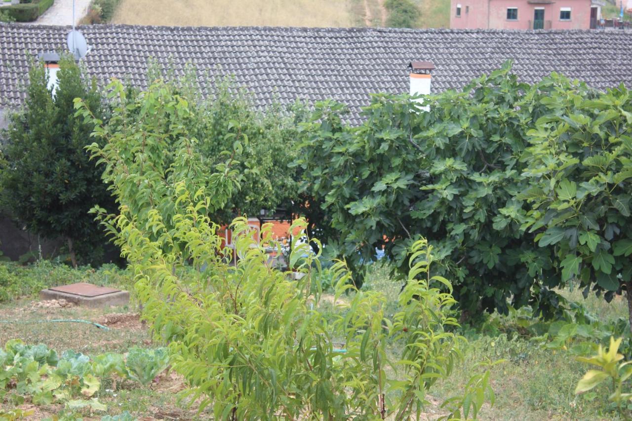 Villa Casa Do Campo à Campo de Víboras Extérieur photo